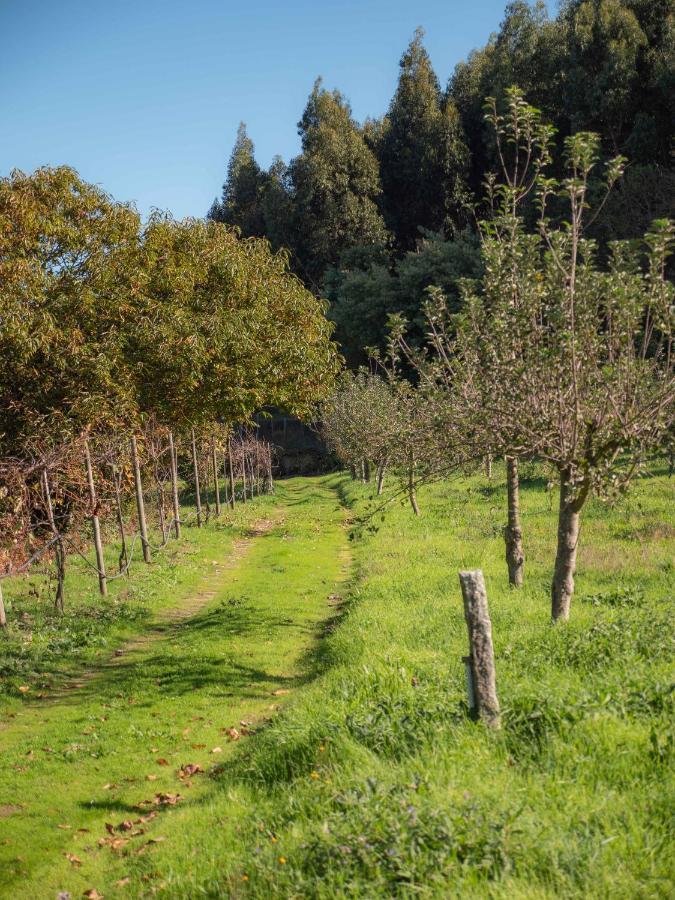 Naturena Agro-Turismo Durrães Екстериор снимка