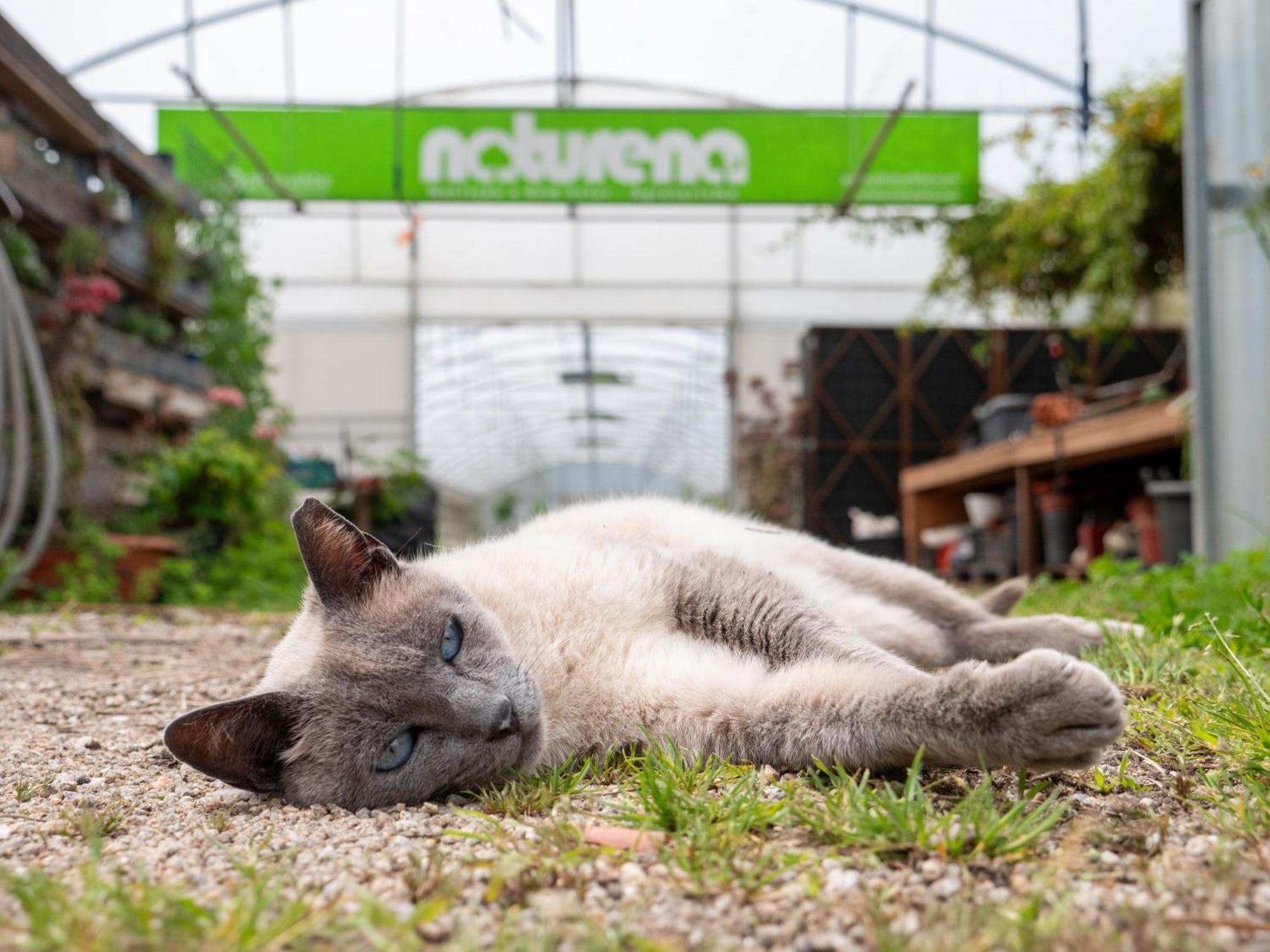 Naturena Agro-Turismo Durrães Екстериор снимка